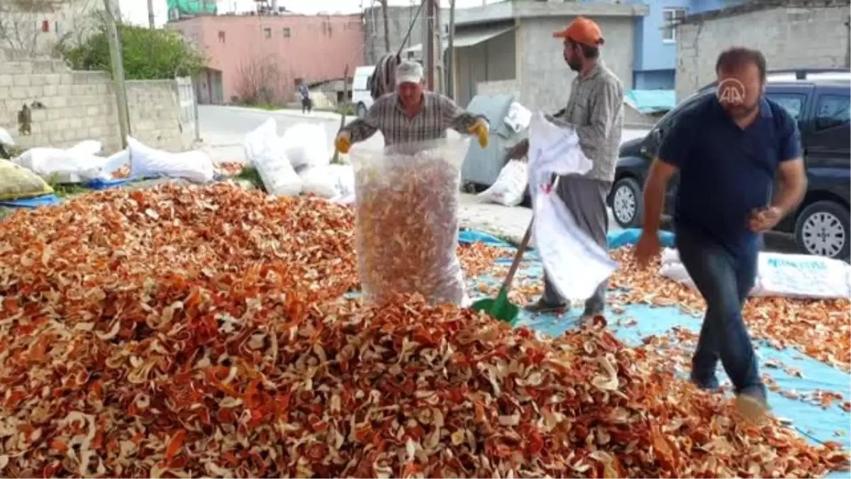 Yılda 300 ton portakal kabuğunu ekonomiye kazandırıyorlar