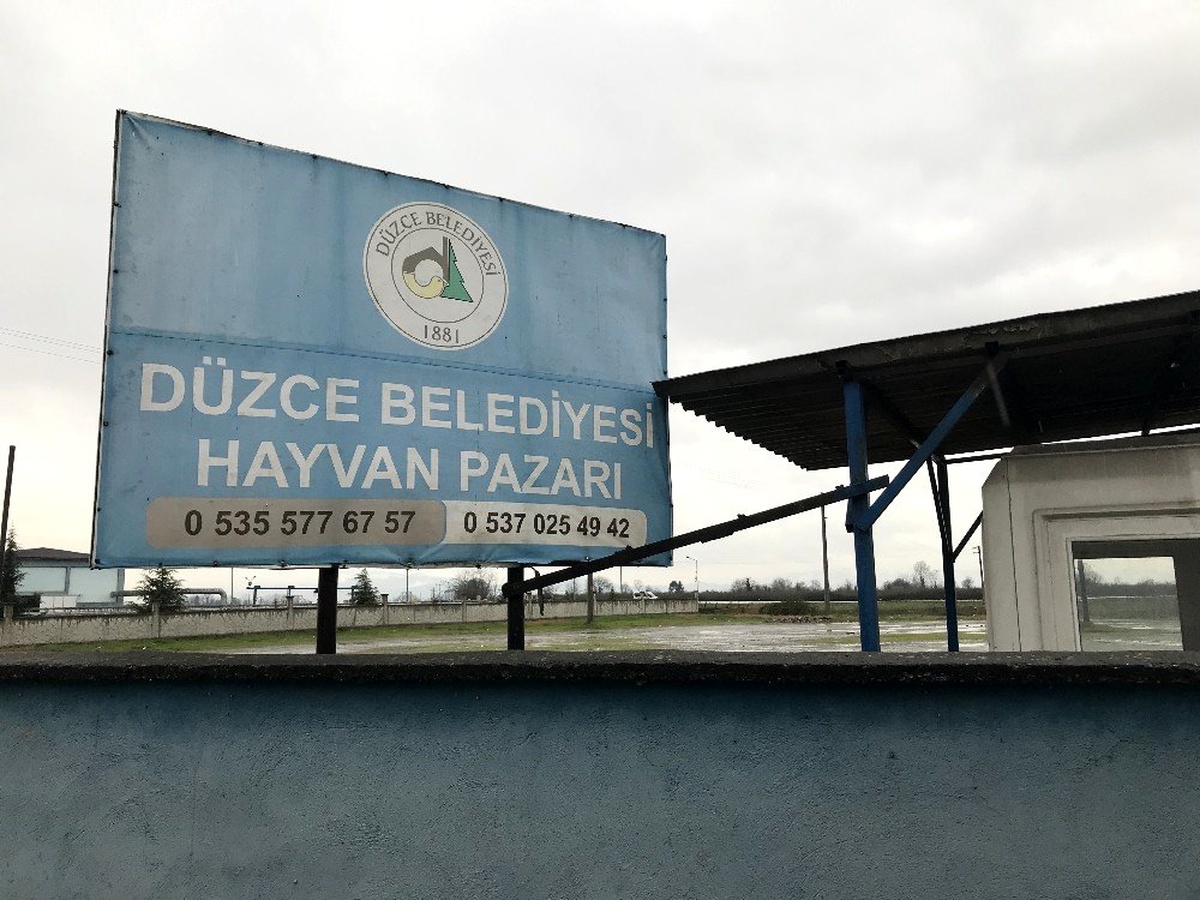 Hayvan pazarı korona virüsü nedeniyle kapatıldı