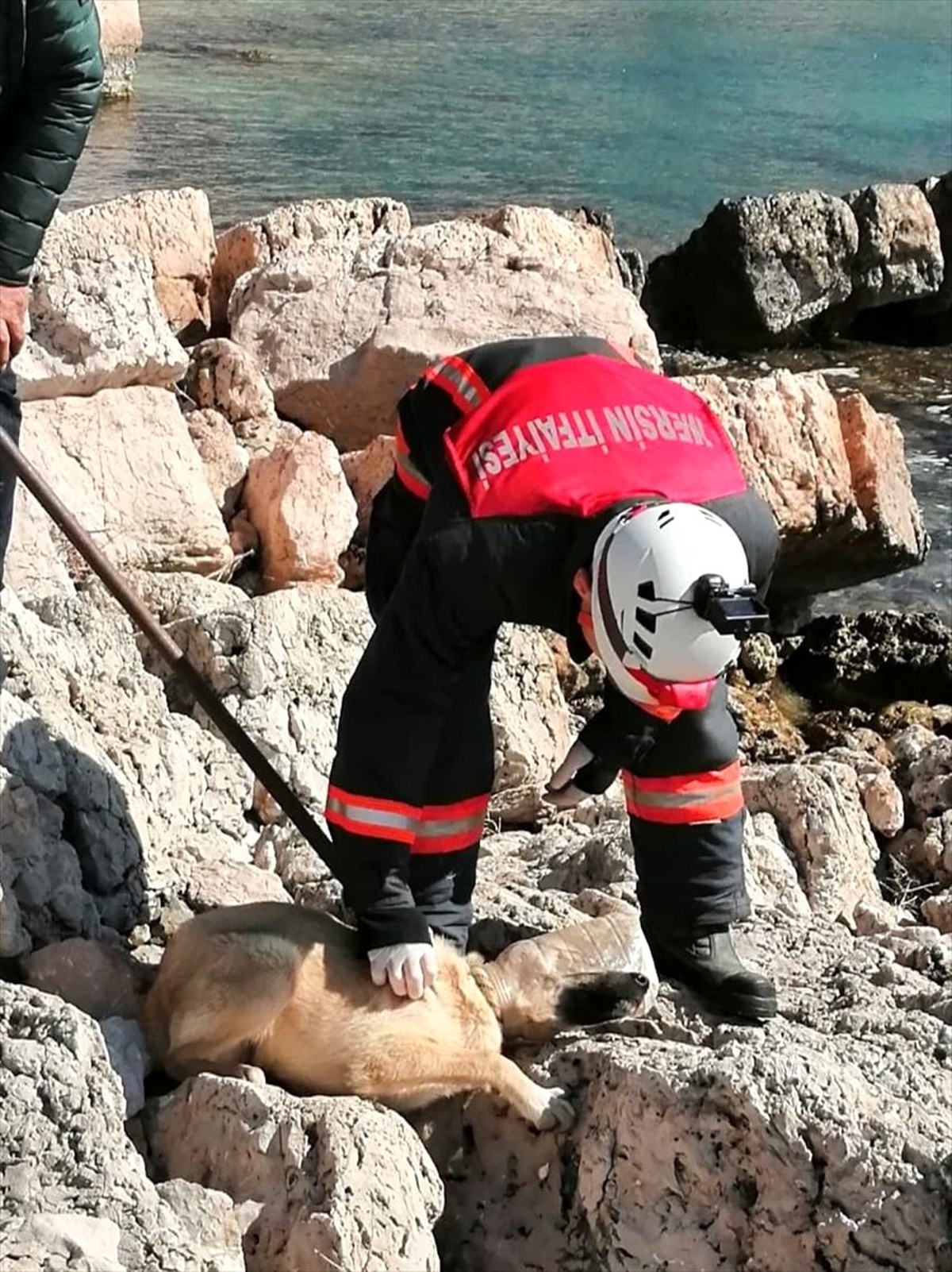 Kafası bidonun ağzına sıkışan köpek itfaiye ekibince kurtarıldı