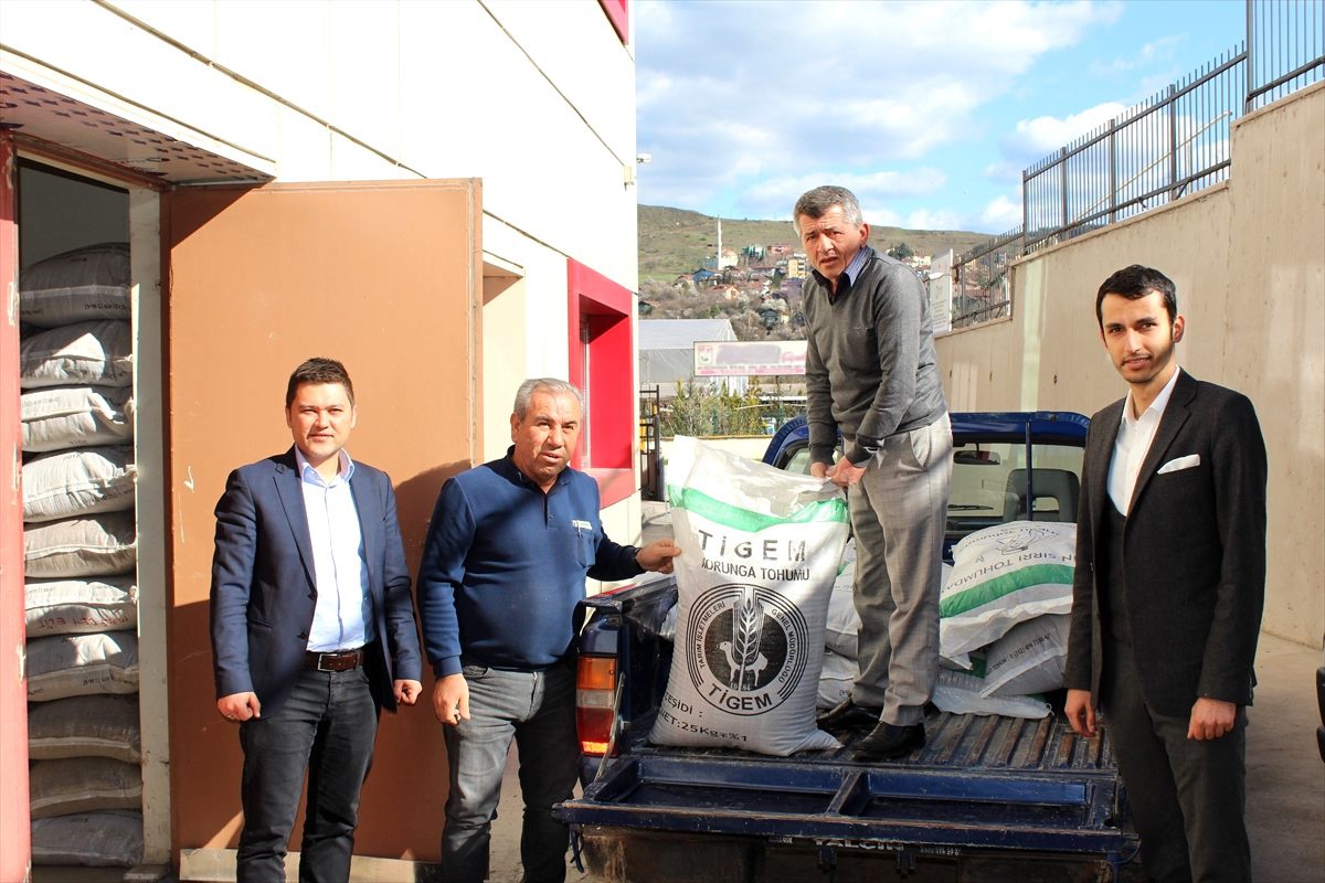 Karabük\'te çiftçilere yem bitkileri tohumu dağıtıldı