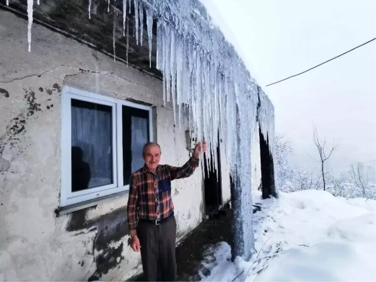 Ordu\'da köy ve mahalle yolları, kardan kapandı