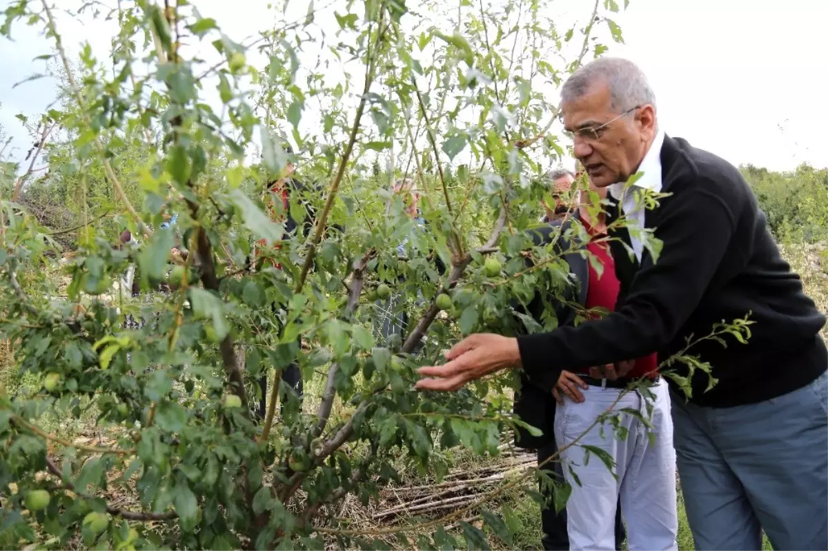 Tarhan, afetzede üreticiler için destek istedi