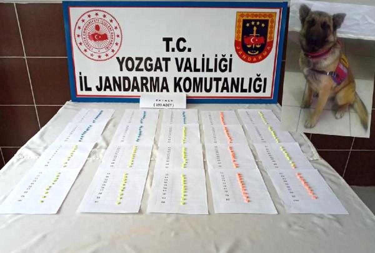 Afgan çoban, uyuşturucu hapla yakalandı