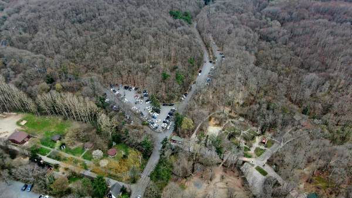 Belgrad Ormanı\'na akın ettiler