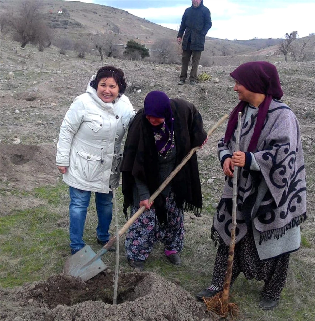 Güdül\'de ipek böcekçiliği için dut fidanı dikildi