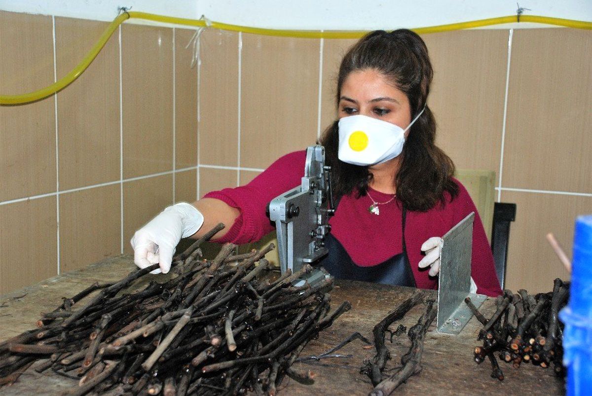 Koronavirüs işlerine engel olmadı