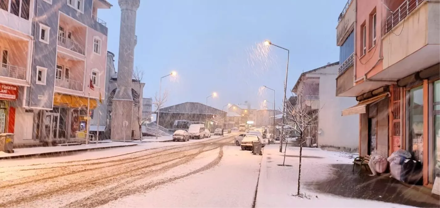 Mart ayında lapa lapa kar yağdı