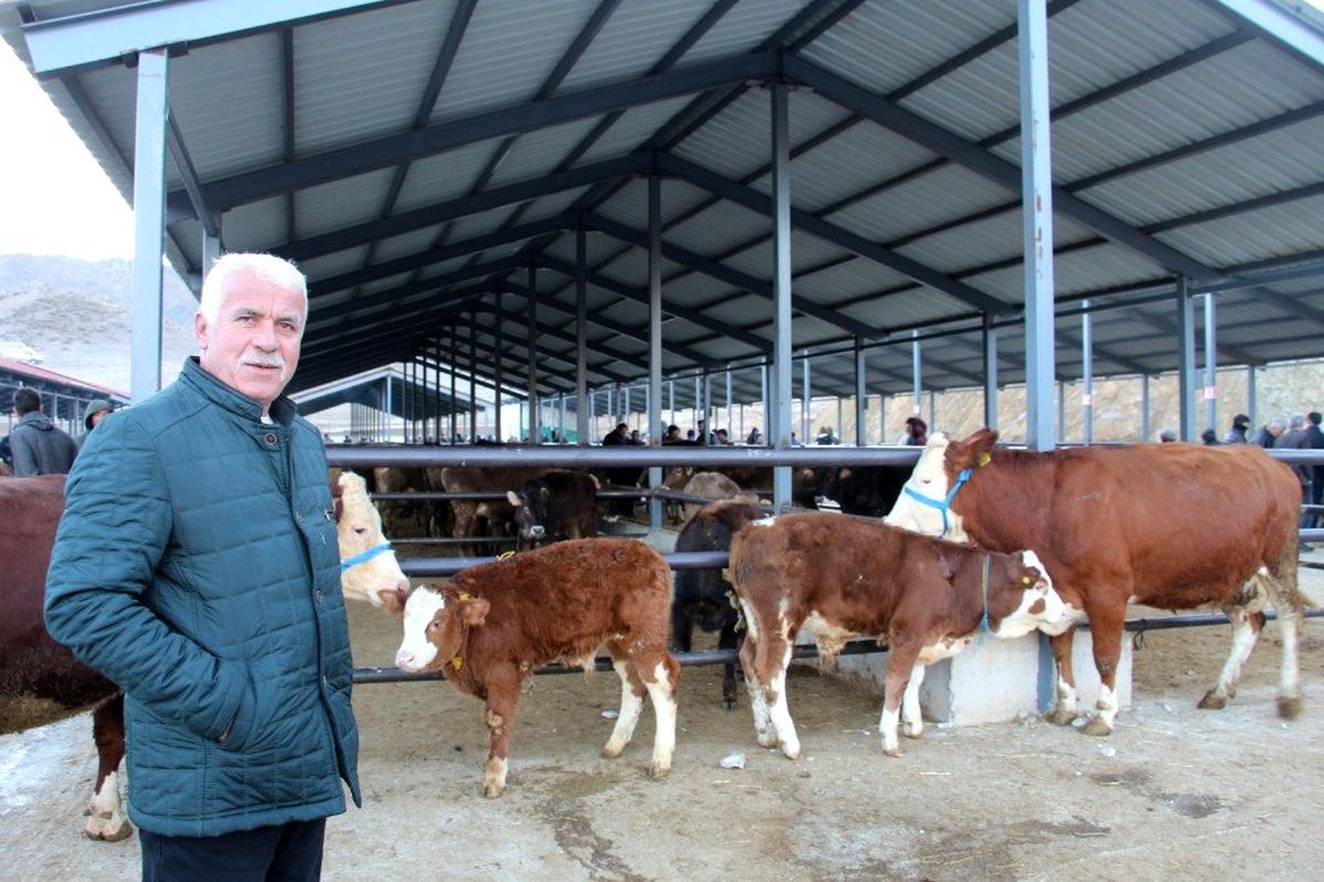 Oltu canlı hayvan pazarı kapatıldı
