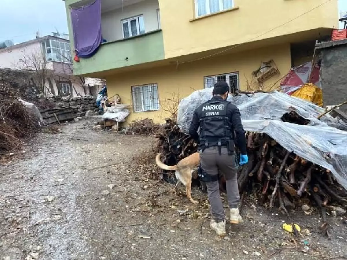 Şırnak\'ta, uyuşturucu operasyonunda yakalanan 30 şüpheli tutuklandı