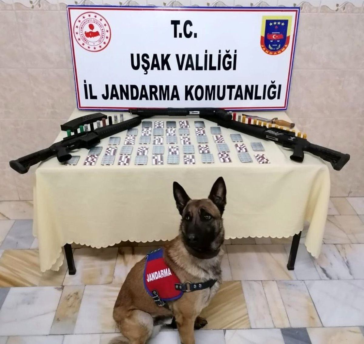 Uşak\'ta 616 adet uyuşturucu hap ele geçirildi