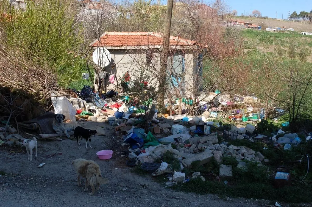 Çöp ev temizlenmeyi bekliyor