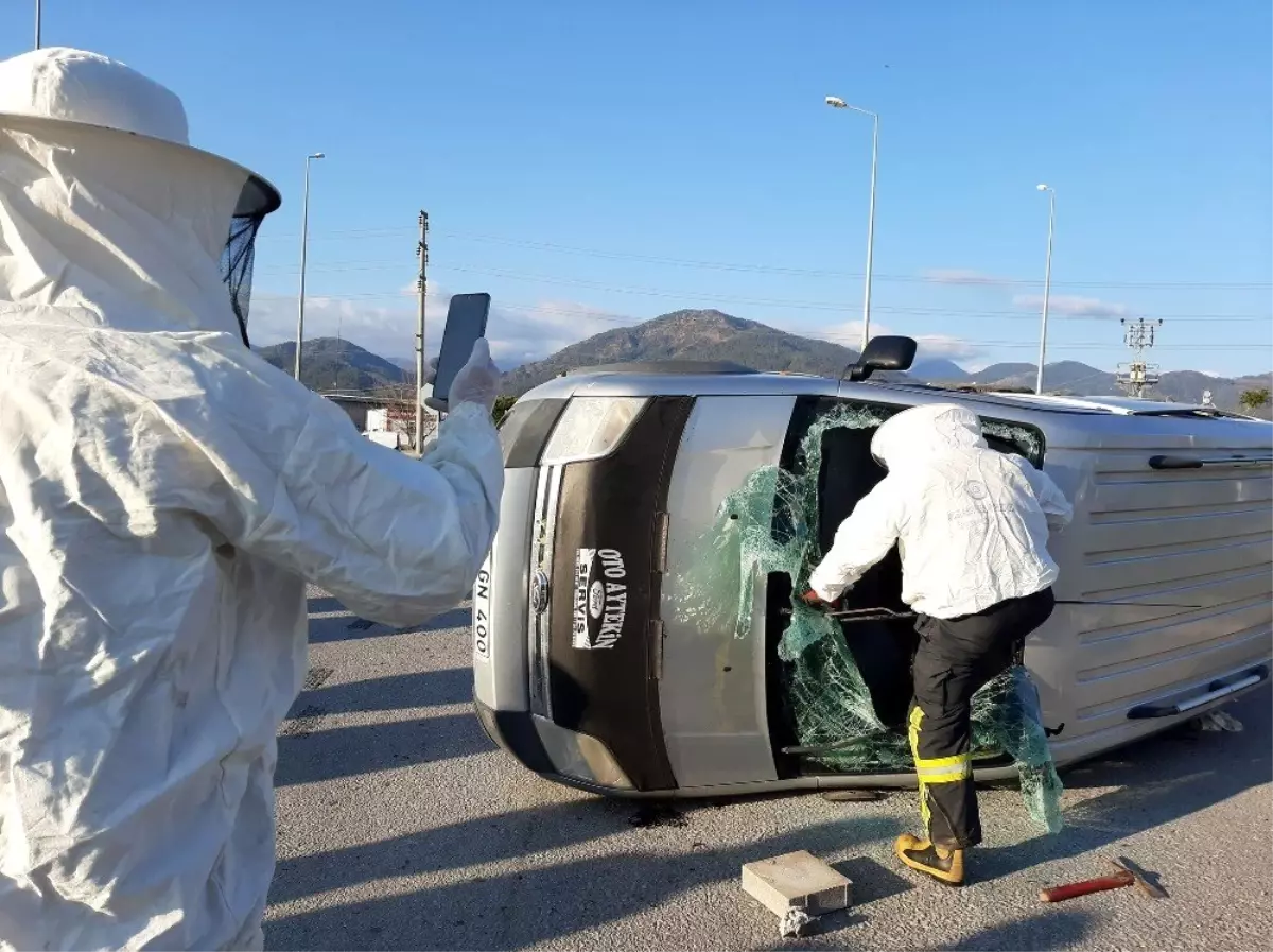 Kaza yapan kamyonetteki arılar ekiplere zor anlar yaşattı