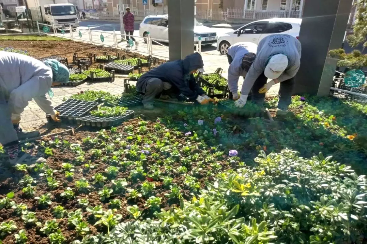 Şehir Süleymanpaşa\'da yetişen çiçeklerle renkleniyor