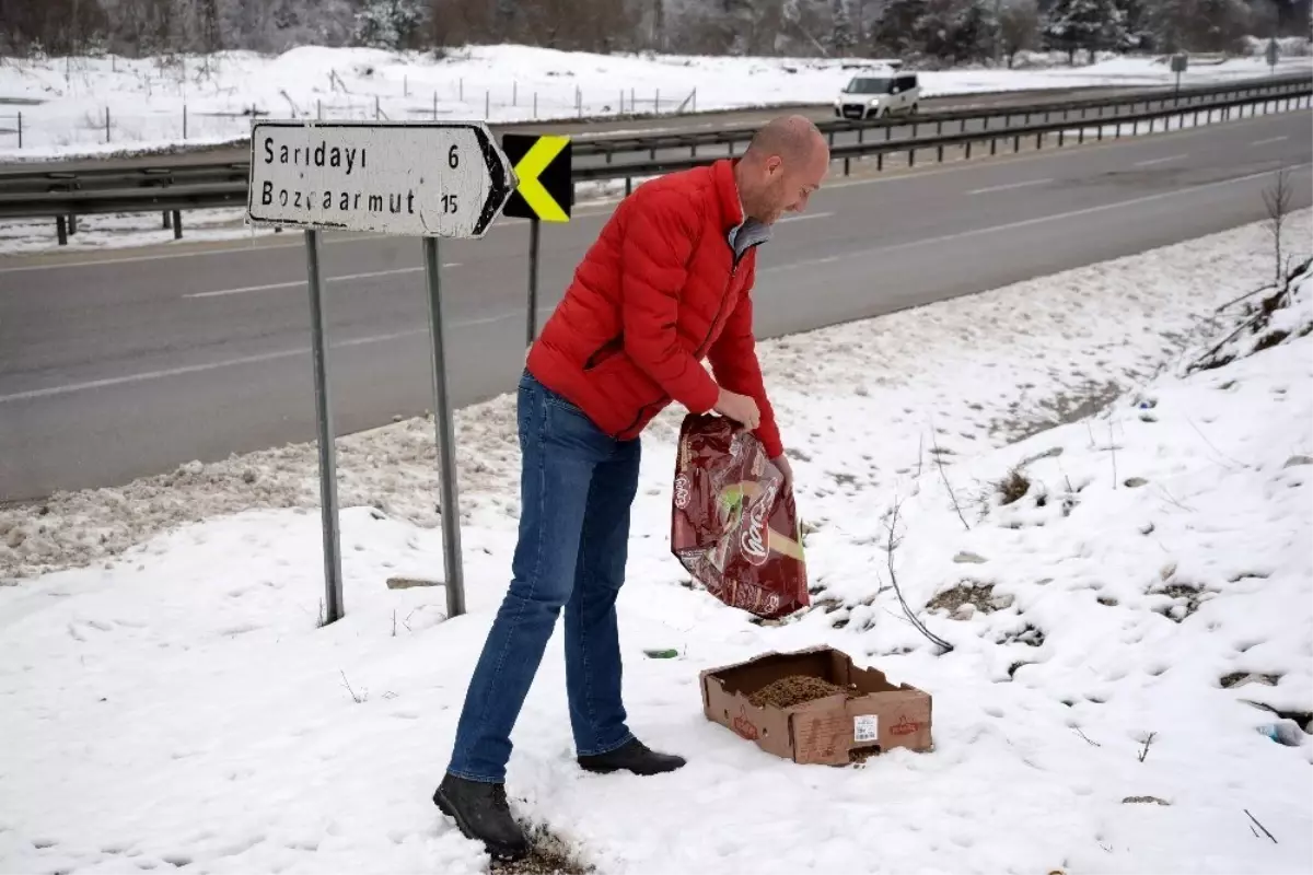 Sokak hayvanları unutulmadı