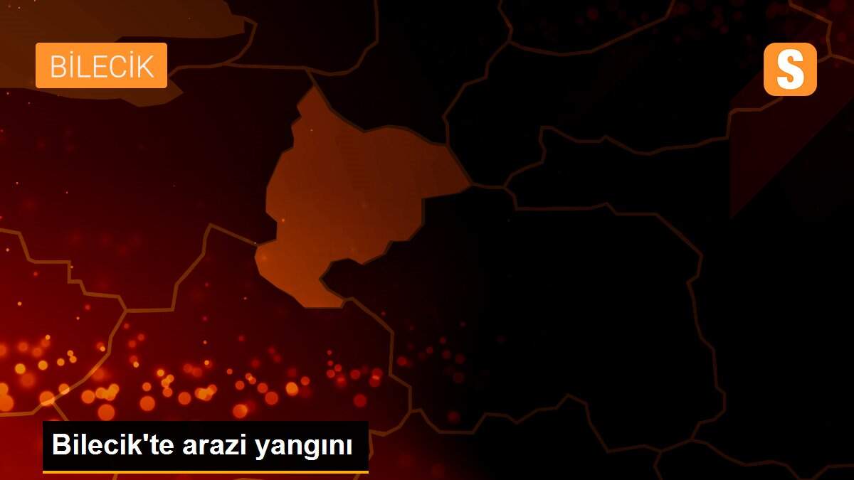 Bilecik\'te arazi yangını