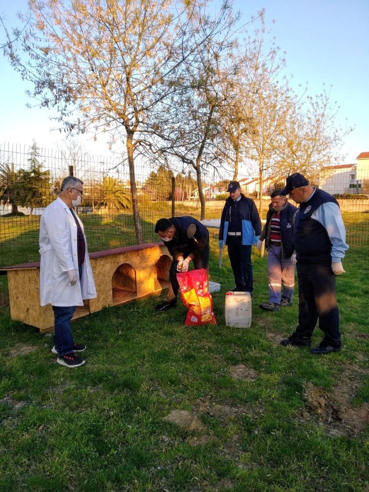 Darıca Belediyesi, sokak hayvanlarını unutmadı