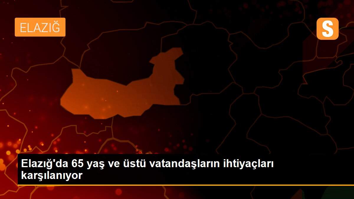 Elazığ\'da 65 yaş ve üstü vatandaşların ihtiyaçları karşılanıyor