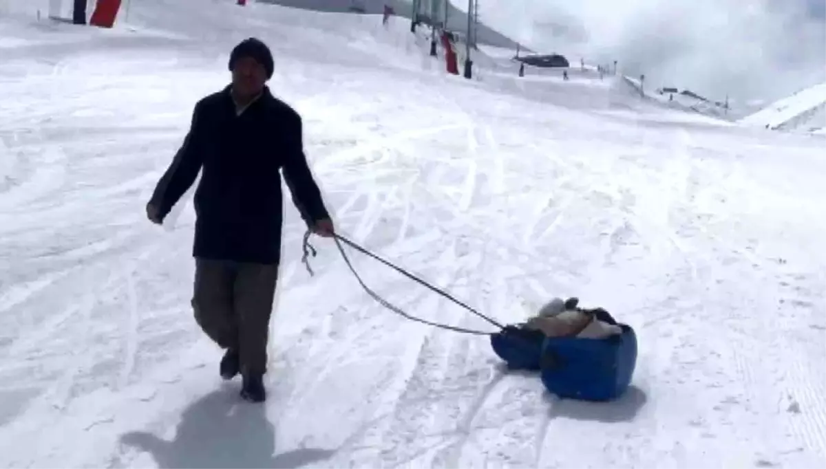 Hasta buzağıyı kızakla veterinere götürdü