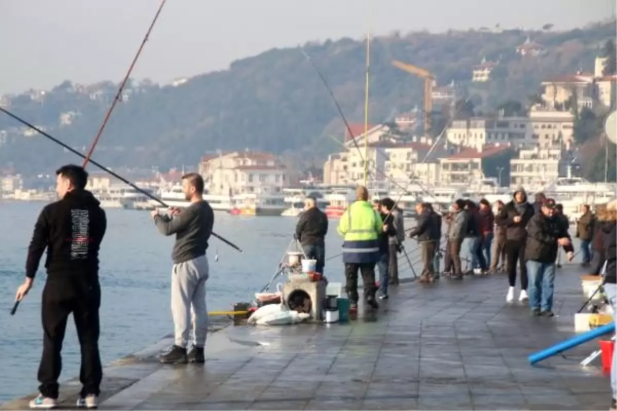 İstanbul\'da sahillere akın bugün de sürüyor