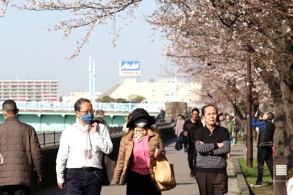 Japonya\'da \'sakura\' coşkusuna korona virüsü engeli