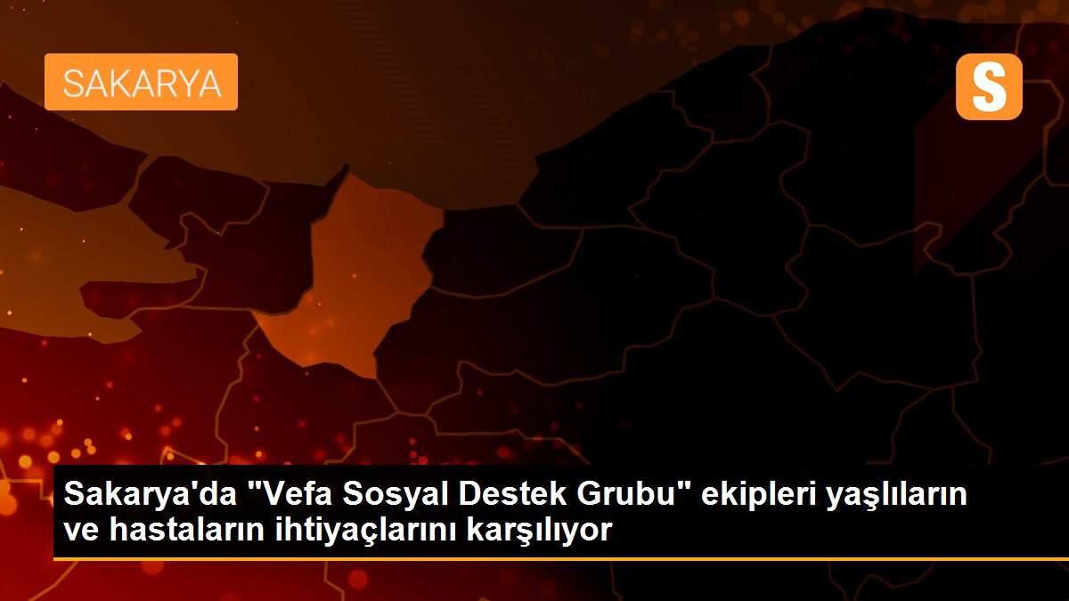 Sakarya\'da "Vefa Sosyal Destek Grubu" ekipleri yaşlıların ve hastaların ihtiyaçlarını karşılıyor
