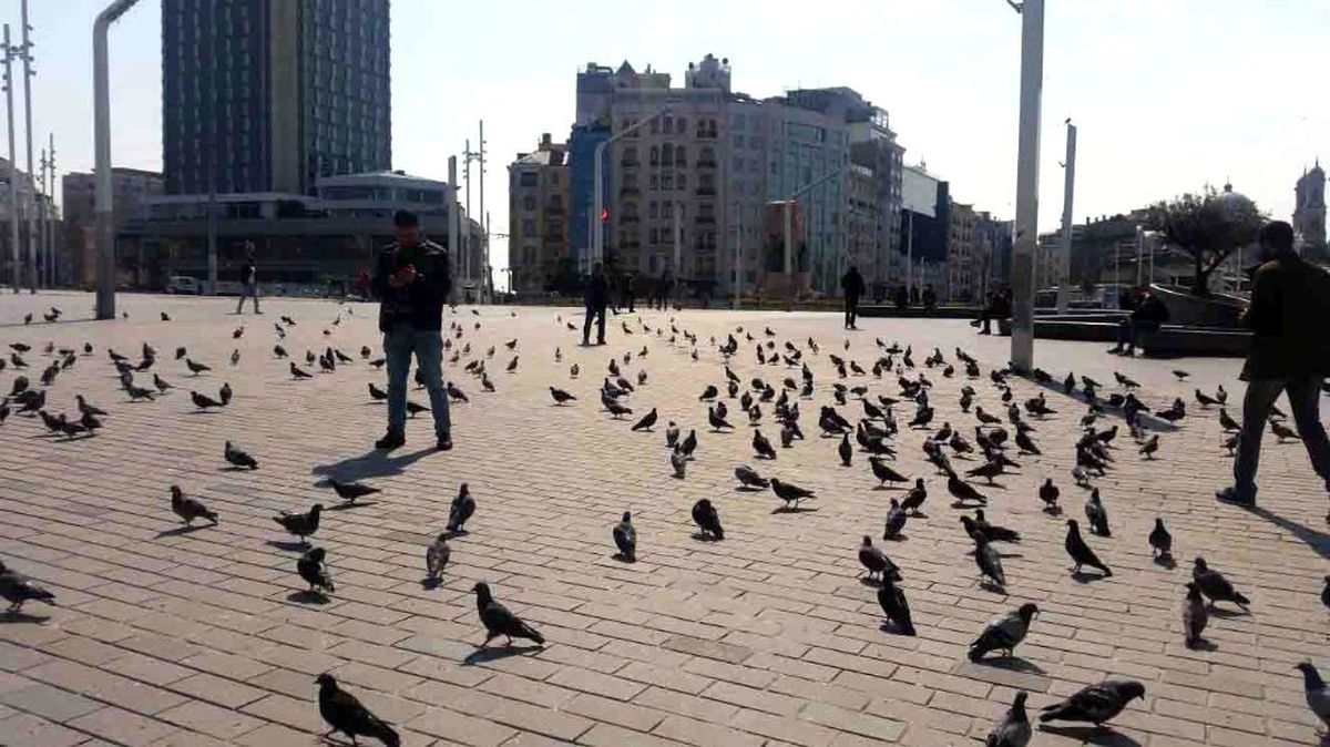 Taksim Meydanı güvercinlere kaldı