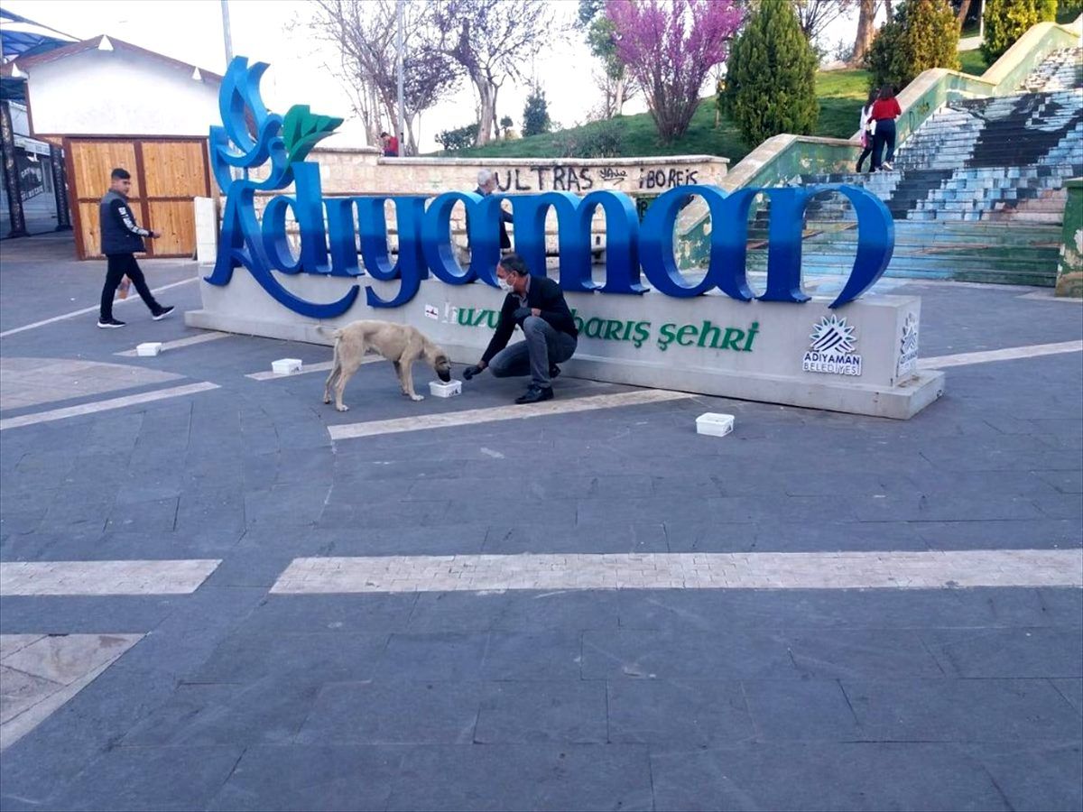 Adıyaman\'da sokak hayvanları unutulmadı