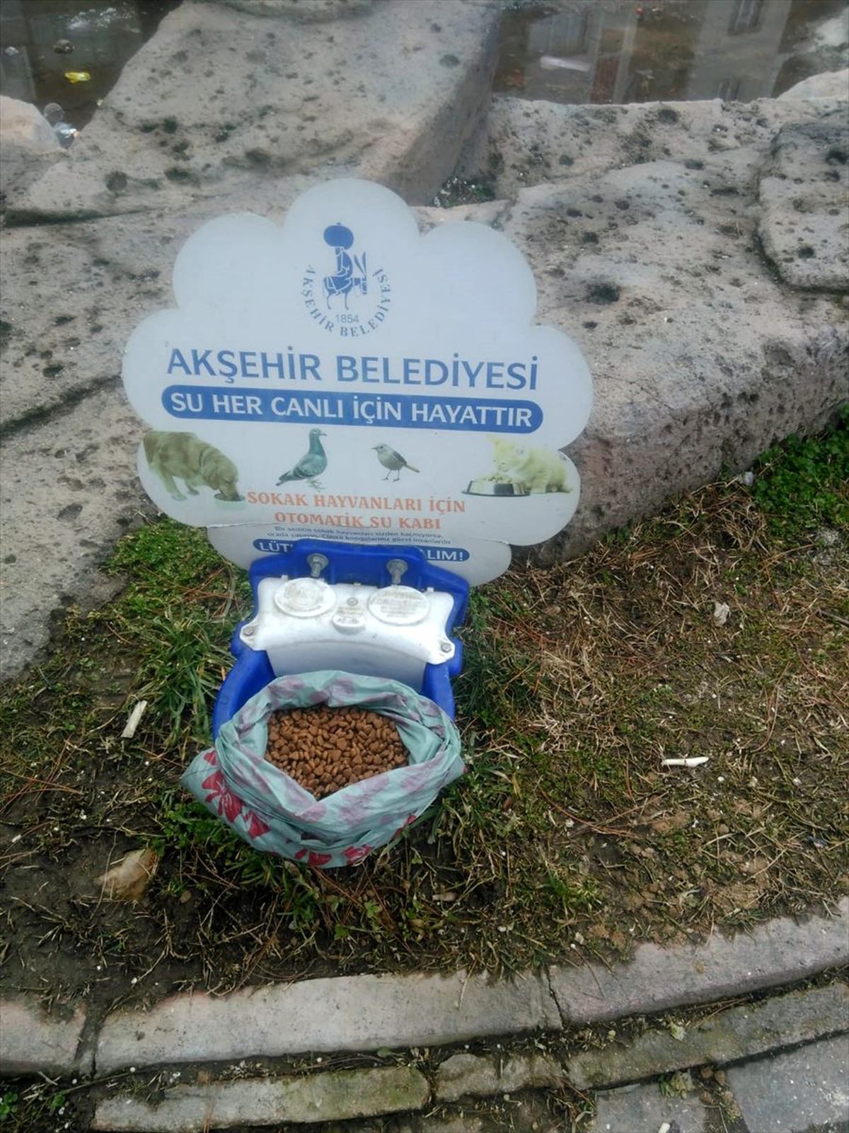 Akşehir\'de sokak hayvanları unutulmadı