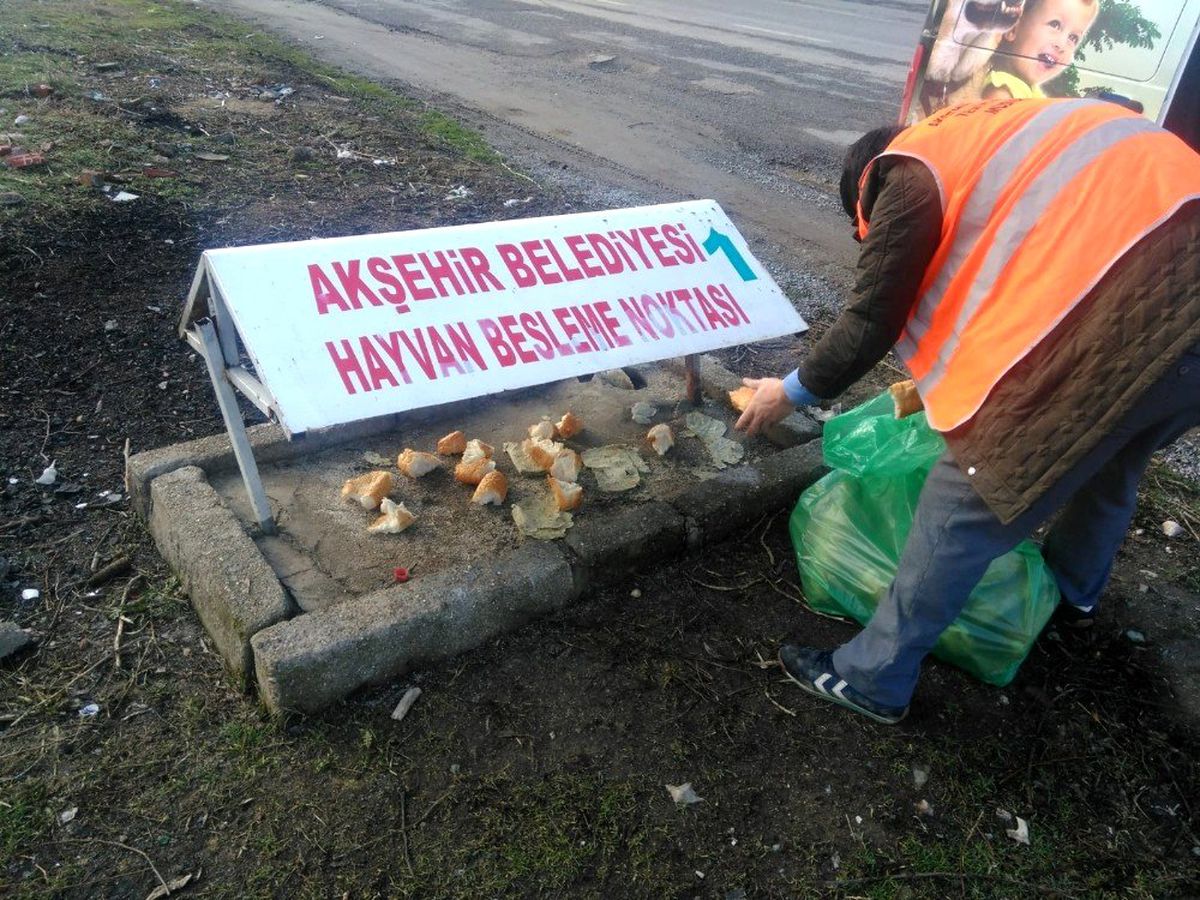 Akşehir\'de sokak hayvanları unutulmuyor