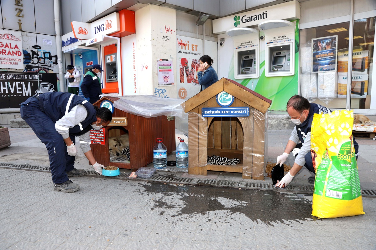 Büyükşehir sokak hayvanlarını unutmuyor