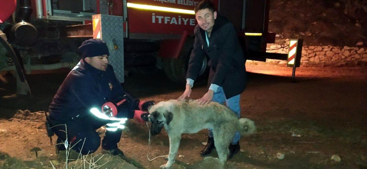 Konya\'da köpek kurtarma operasyonu