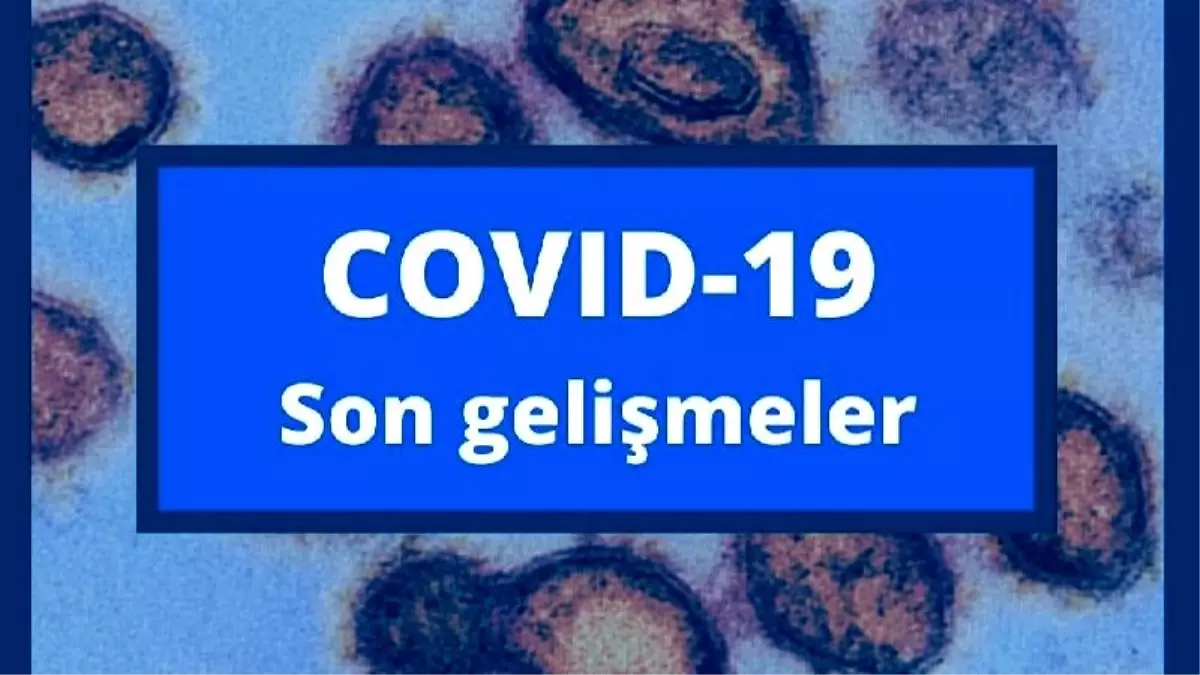 Koronavirüs (Covid-19) salgınında yeni gelişmeler: Dünyada son 24 saatte neler oldu?