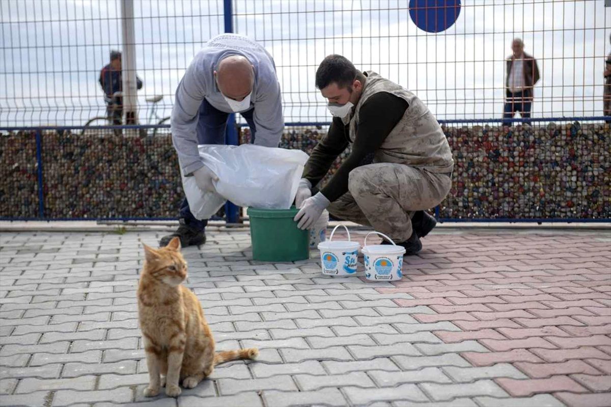 Mersin\'de hayvan barınaklarına mama ile su bırakıldı