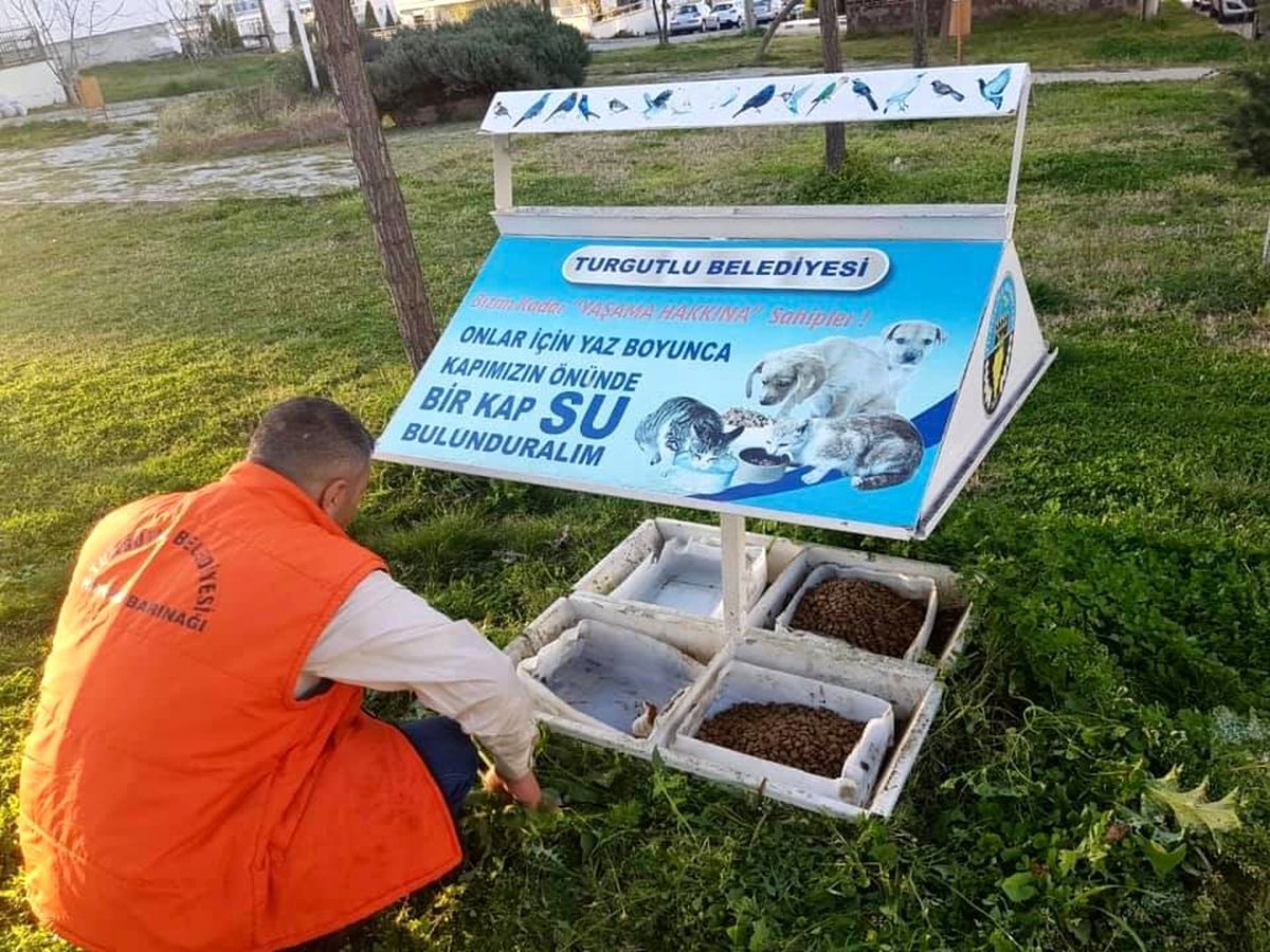 Turgutlu\'da sokak hayvanları da unutulmadı