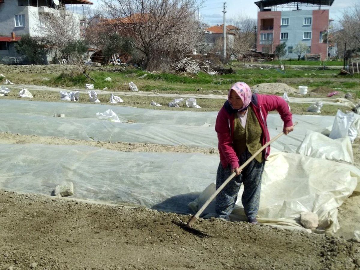 Tütüncülerin telaşı başladı
