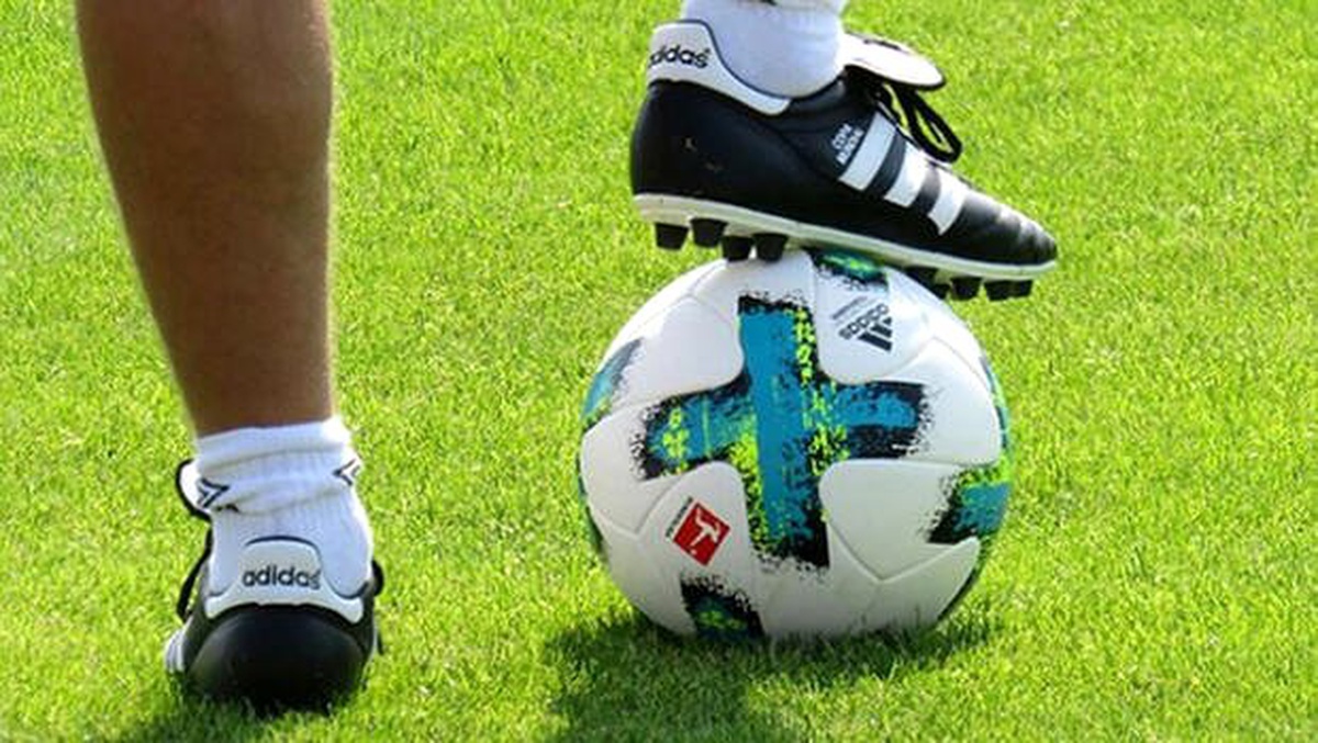 Almanya\'da 1. ve 2. futbol liglerinin 30 Nisan\'a kadar askıya alınması tavsiye edildi