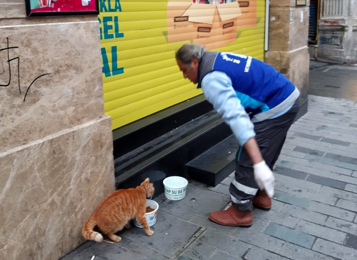 Beyoğlu Belediyesi sokakta yaşayan hayvanları unutmadı