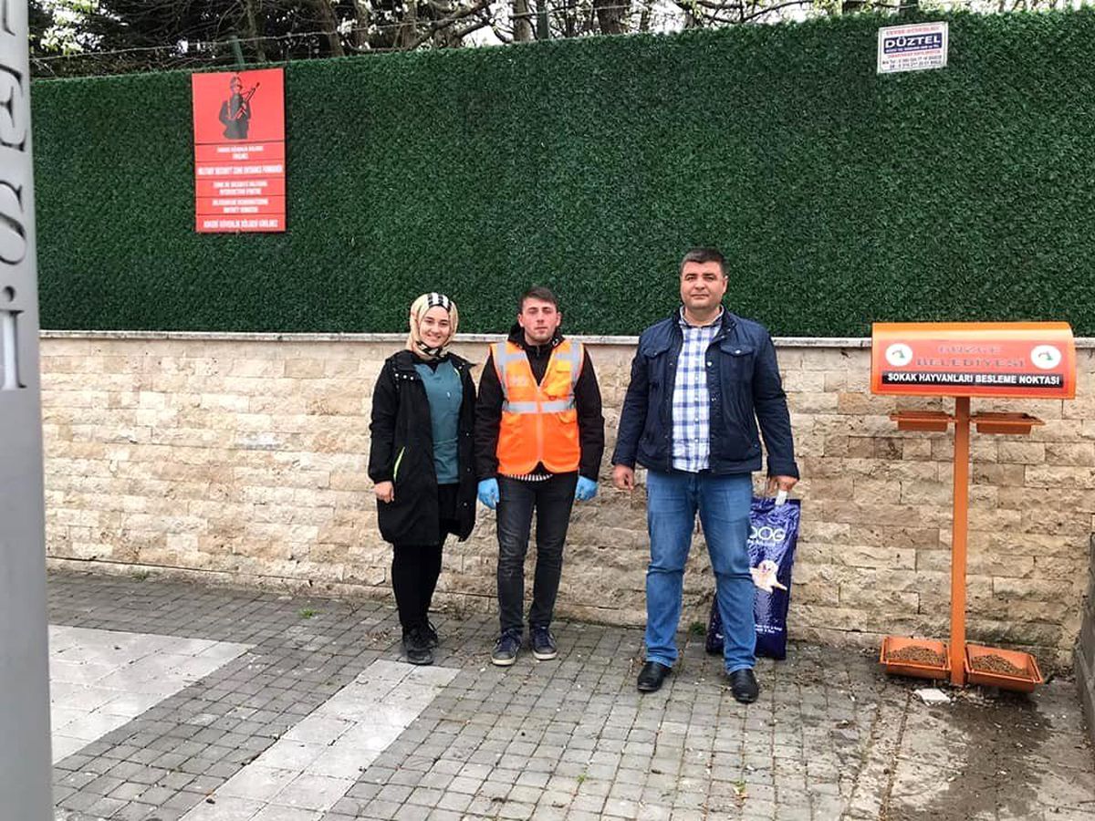 Düzce Belediyesi sokak hayvanlarını unutmadı