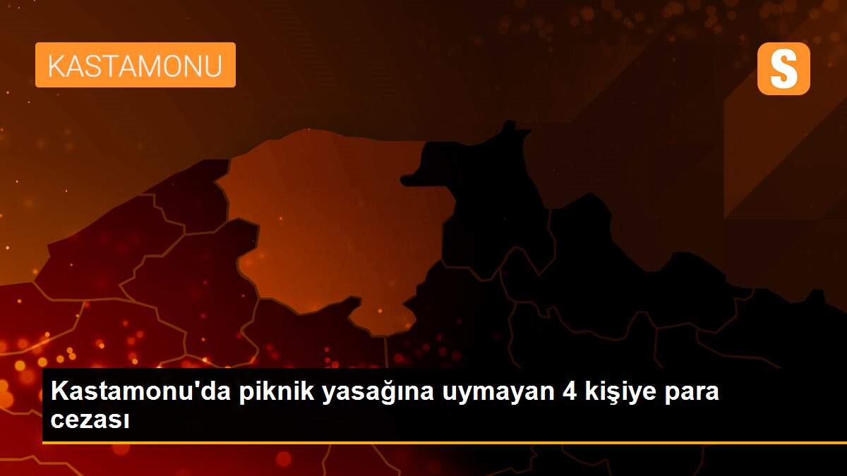 Kastamonu\'da piknik yasağına uymayan 4 kişiye para cezası