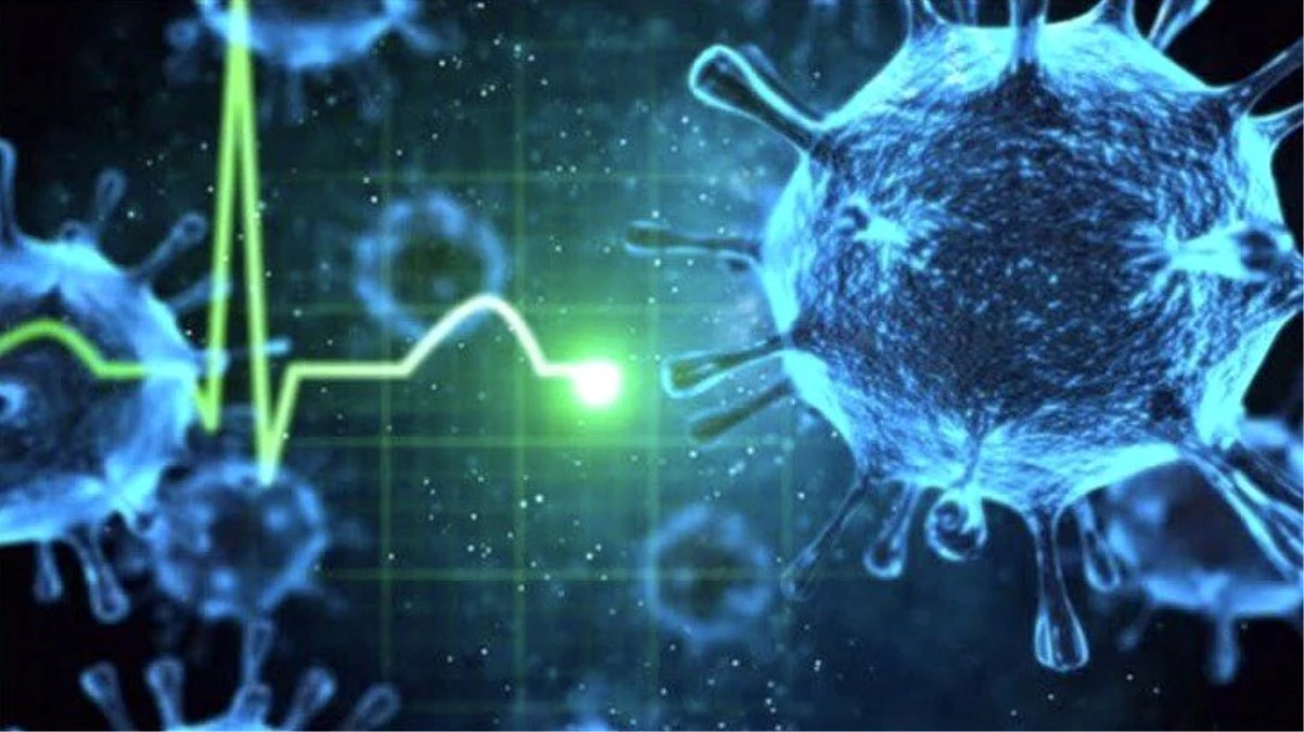 Koronavirüs salgını bitmeden hantavirüs ortaya çıktı!