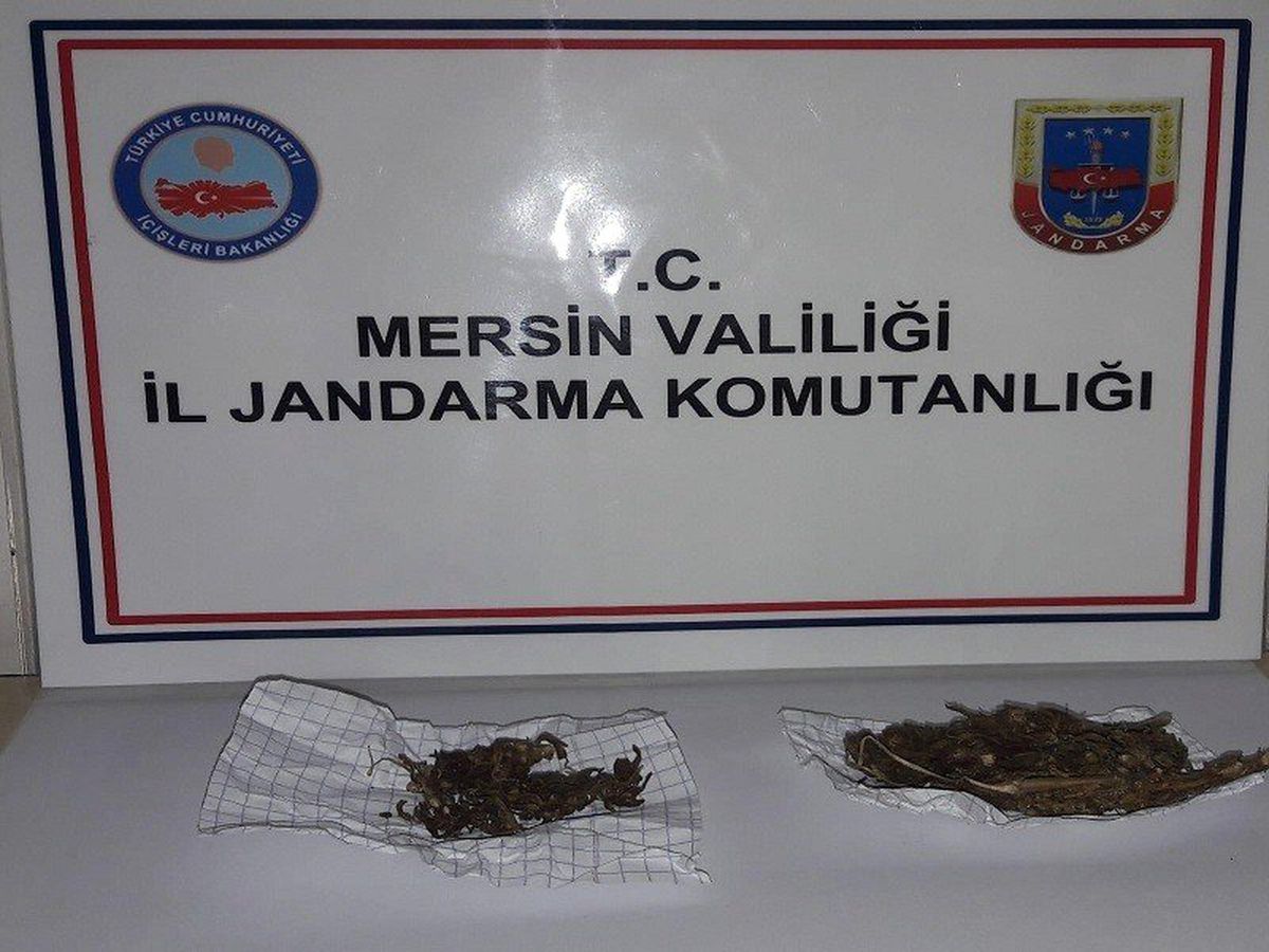 Uyuşturucu kullanan 1 kişi suçüstü yakalandı