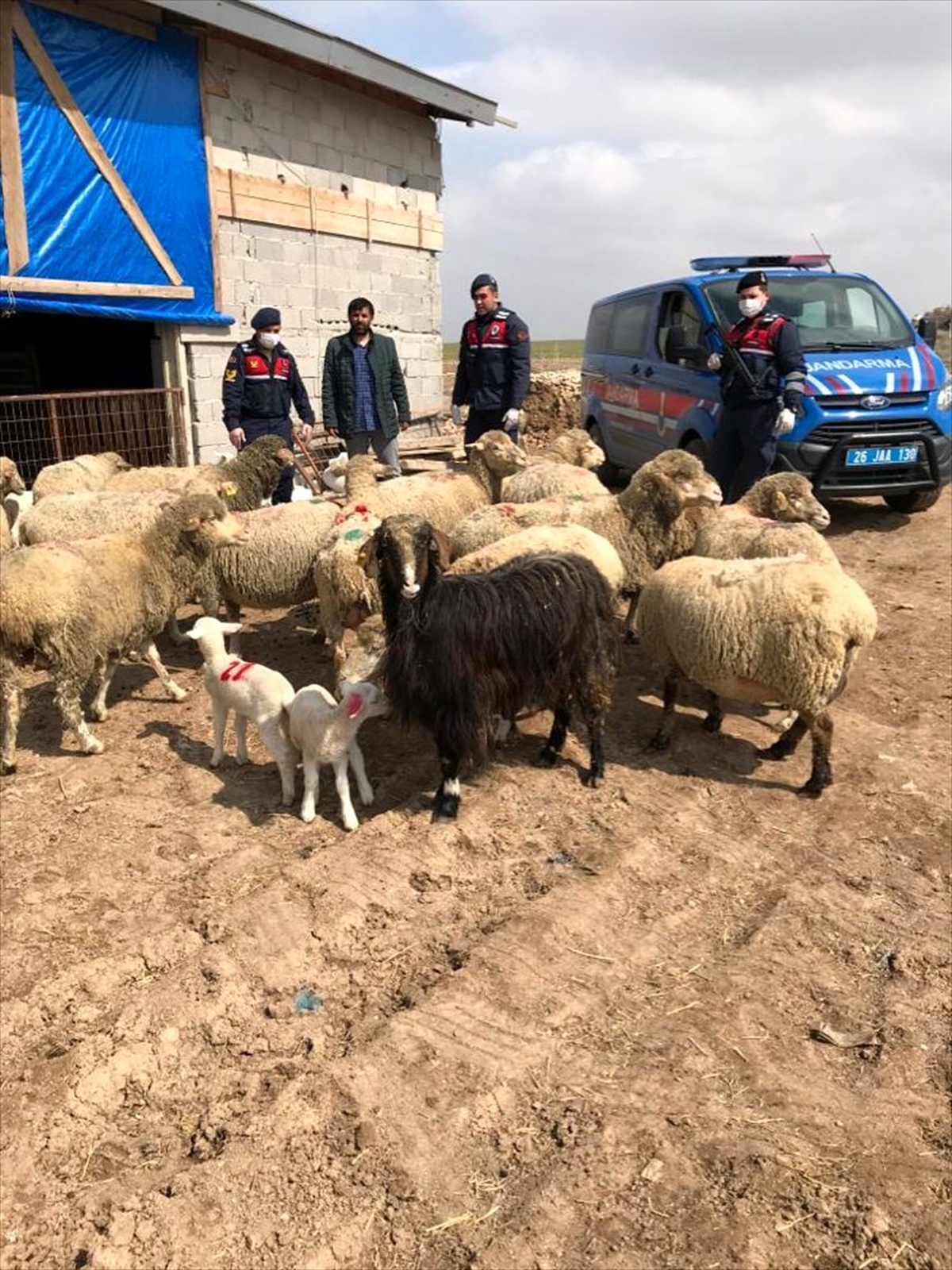 Eskişehir\'de hırsızlık iddiasıyla 4 kişi yakalandı