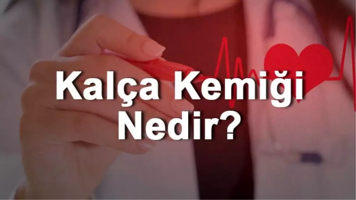 Kalça Kemiği Nedir? Nerededir? Kalça Kemiği Ağrısı, Kırığı ve Tedavisi