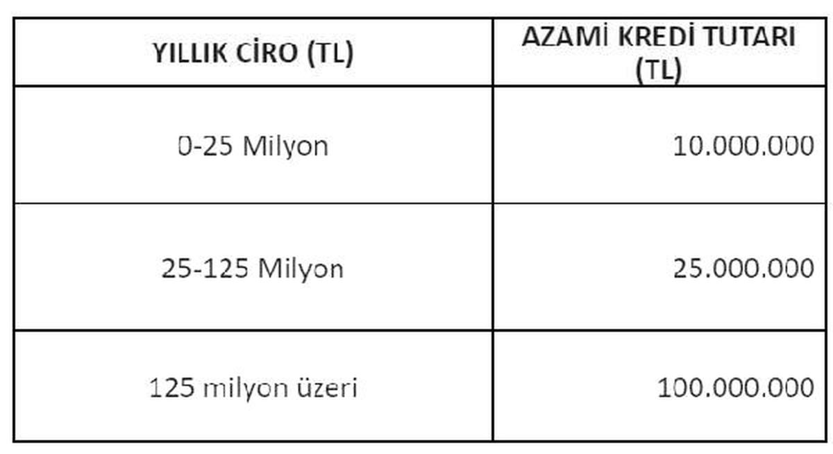 Kamu bankalarından "İşe Devam Kredi Desteği"