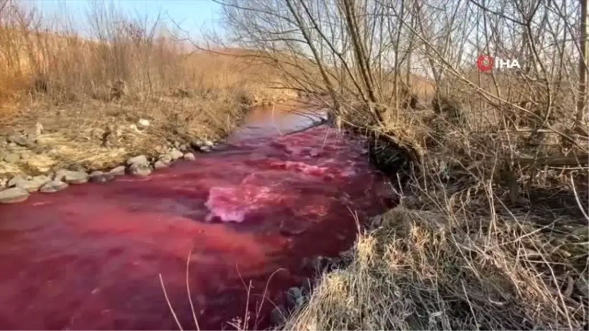 Kanada\'da Mississauga kentindeki nehir kırmızıya büründü