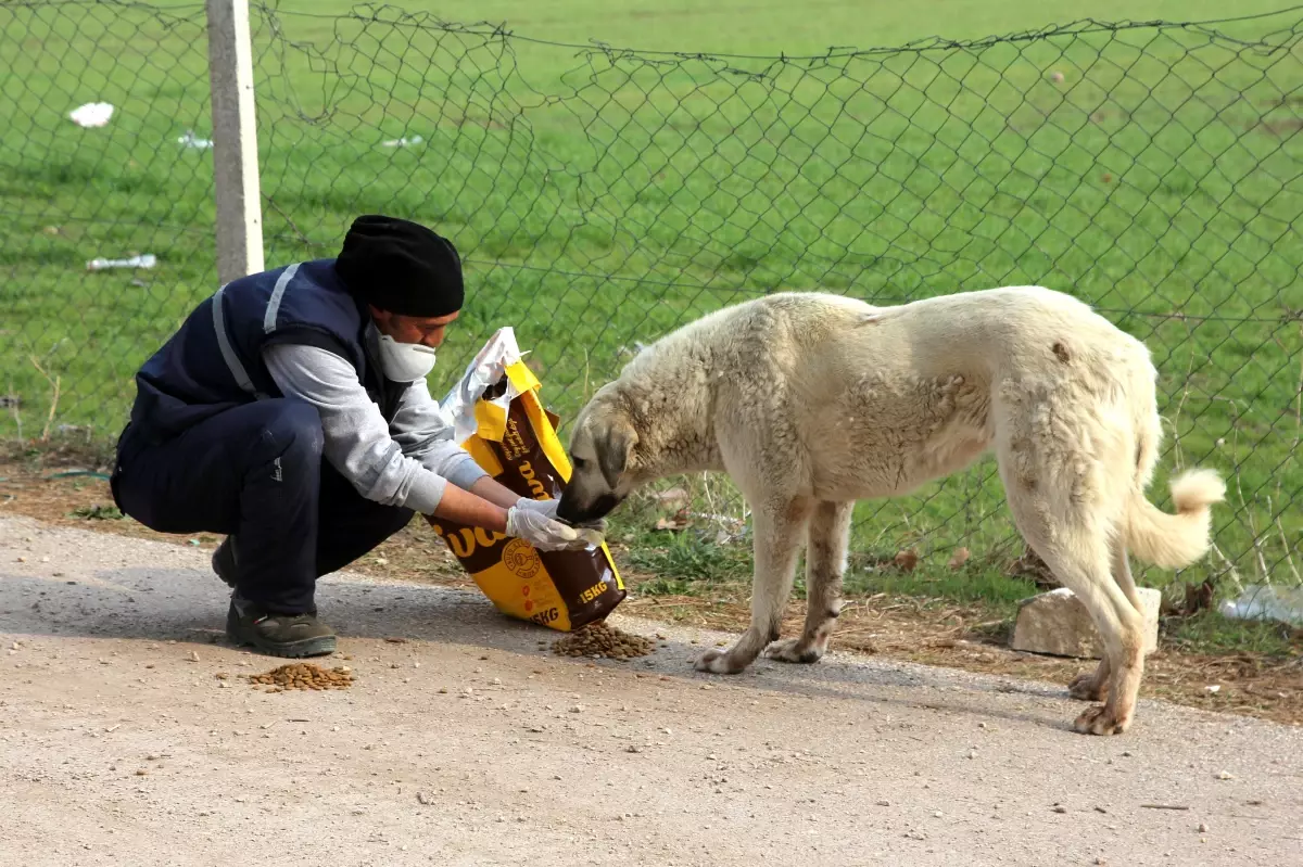 Kent merkezi dışındaki canlar unutulmuyor