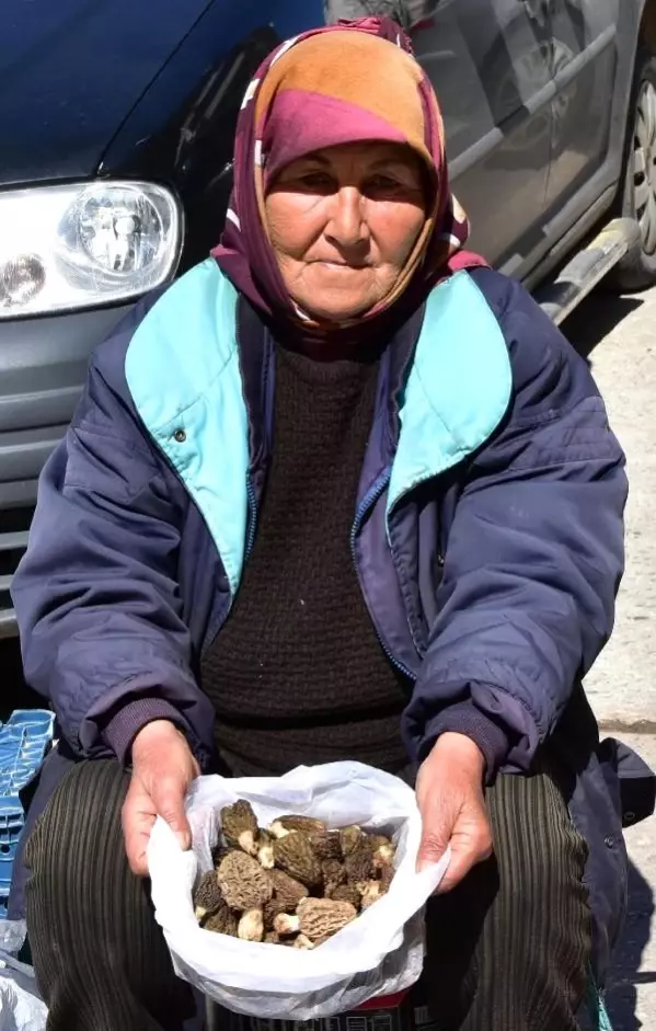 Kilosu 120 lira olan kuzugöbeği, bağışıklık sistemi için birebir Son