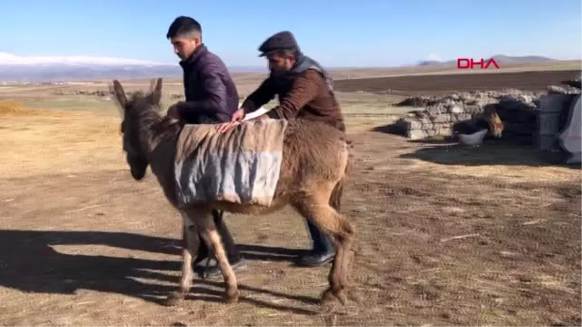 Koronavirüs türküsüne eşek üzerinde klip çeken ozan zorlandı