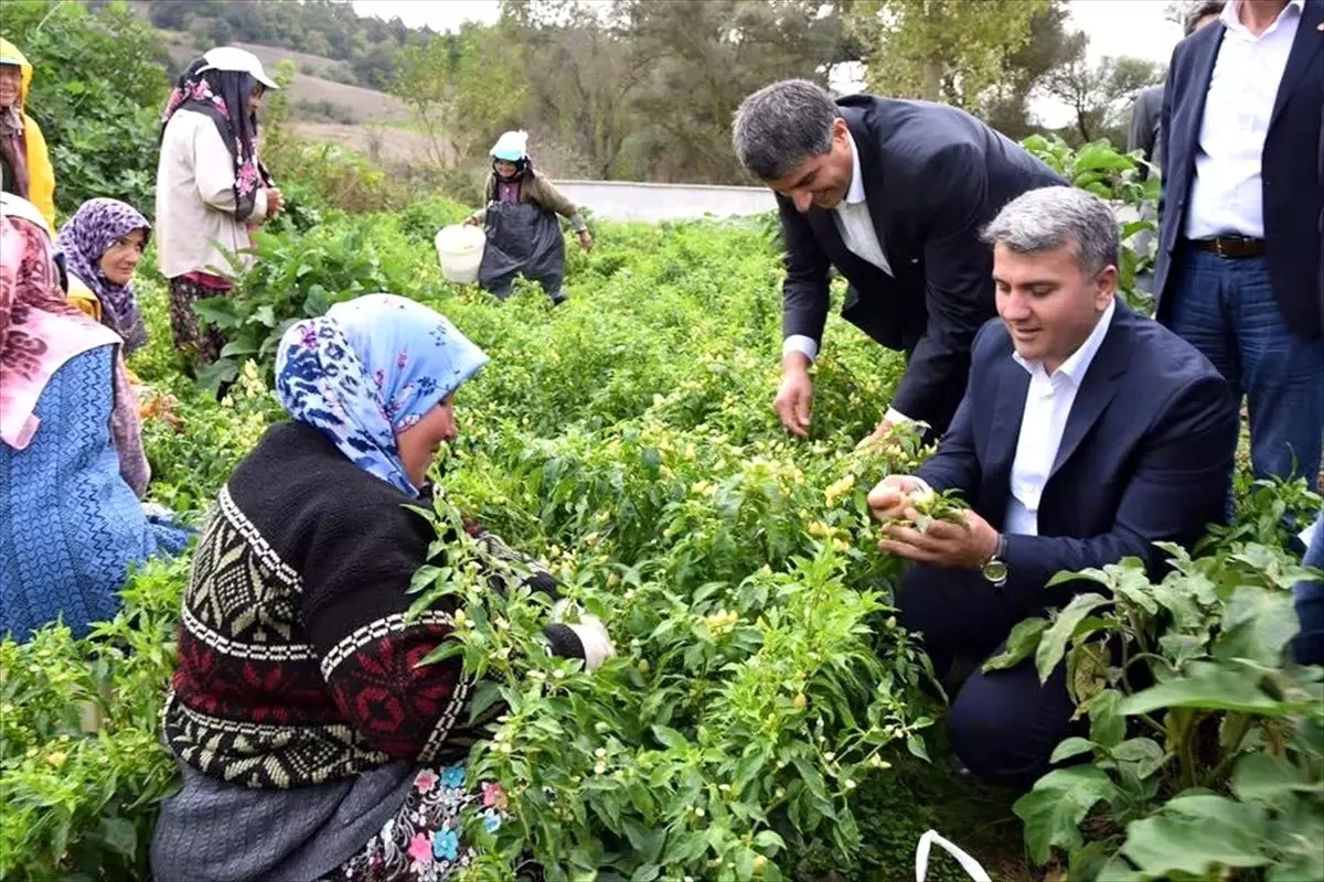 Milletvekili Canbey\'den tarım ve hayvancılığa destek müjdesi