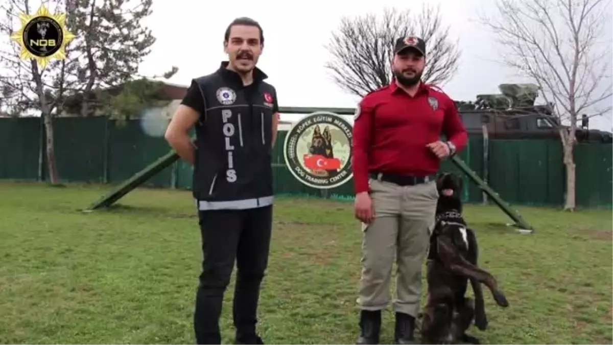 Narkotik köpeği Altar\'lı "Evinizde kalın" mesajı